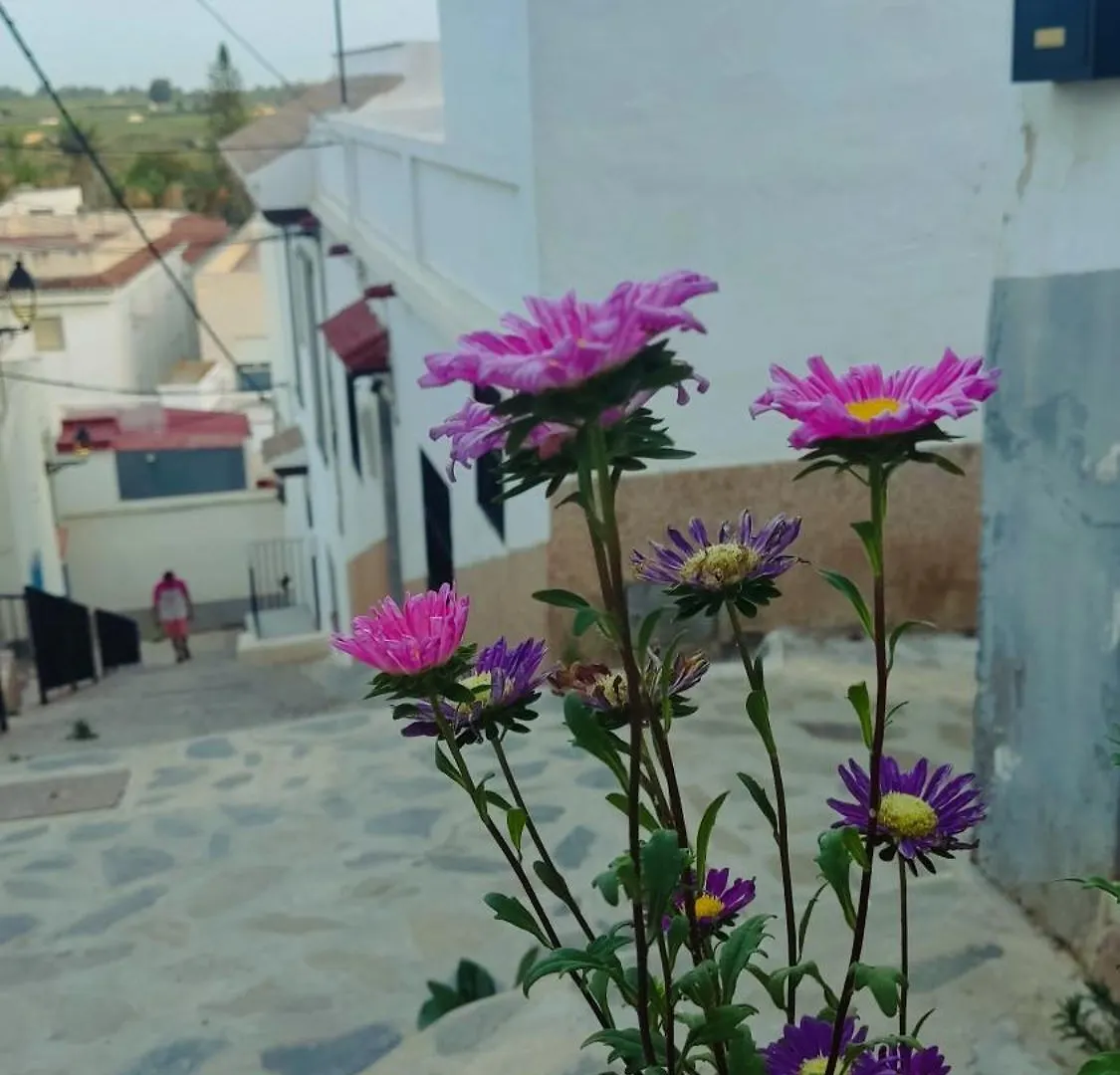 Casa Fuente Salobrena Villa Holiday home